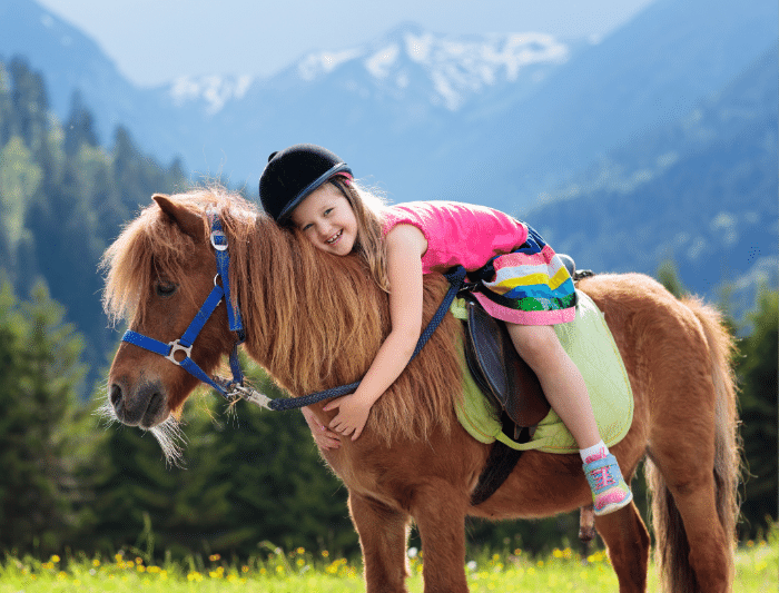 Australian riding ponies