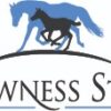 Bowness Stud & Watershed Farm